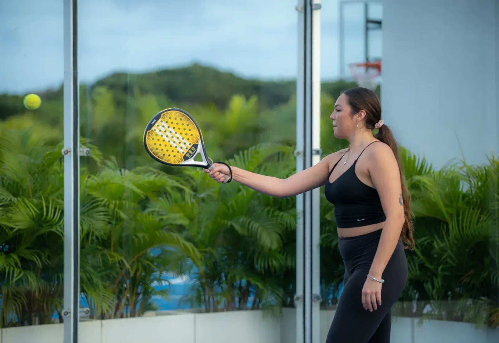 Sports Courts