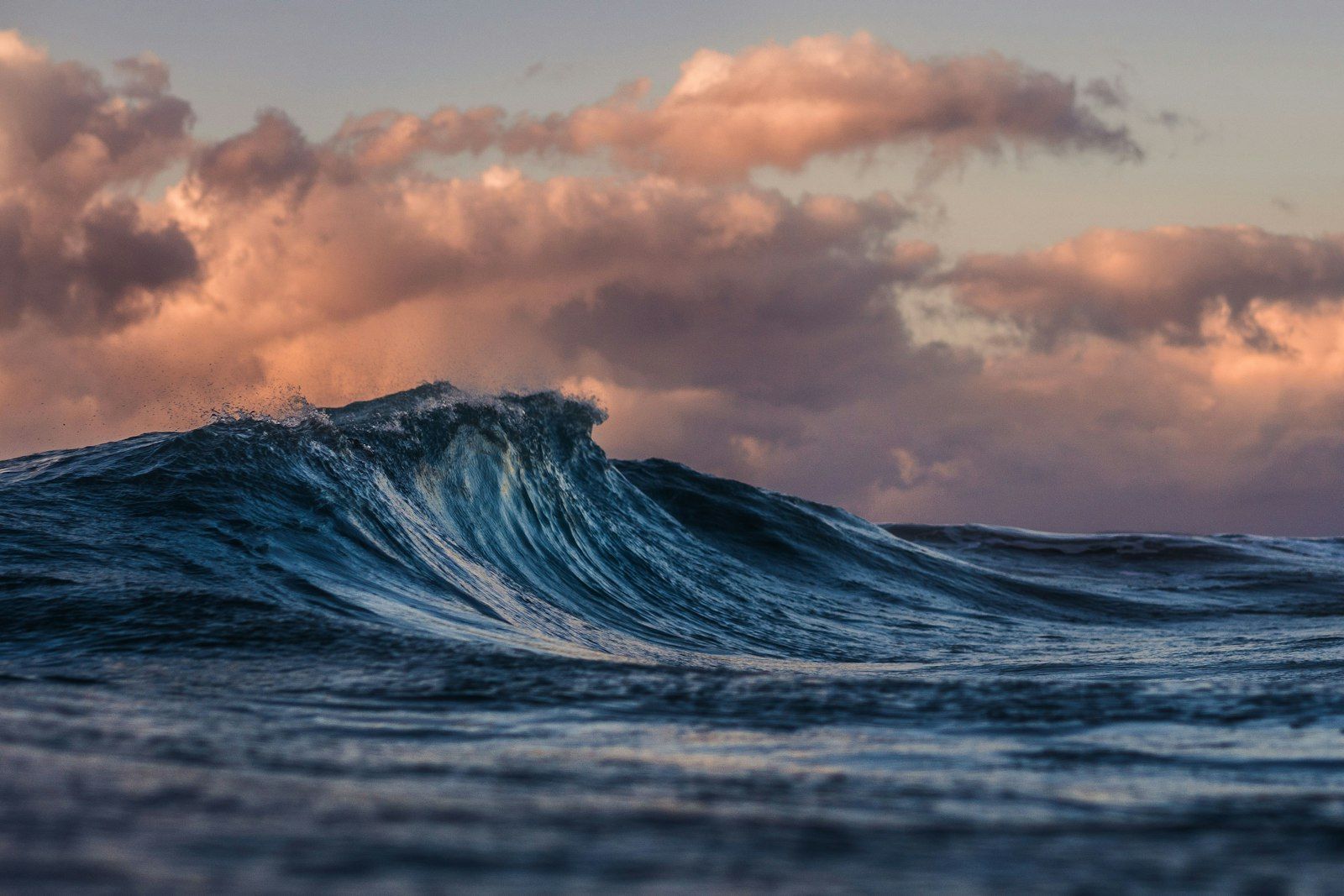 Oasis Surf Shop
